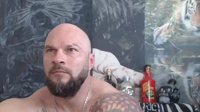 viking 30 online show from 2, 6, 2026