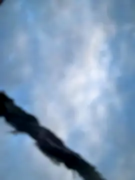 Model9798 online show from 22, 10, 2025