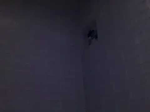 Snapshot of readyforfunxxx chatting on 8, 12, 2024 readyforfunxxx online show from 8, 12, 2024