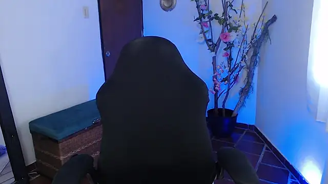 Snapshot of ms_sofia_x chatting on 3, 11, 2025 ms sofia x online show from 3, 11, 2025