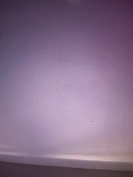 Snapshot of 6lue6a6y69 chatting on 1, 11, 2025 6lue6a6y69 online show from 1, 11, 2025