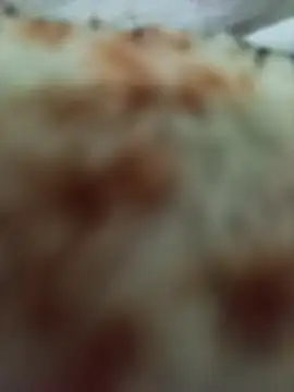 Snapshot of Edsondsos chatting on 31, 3, 2026 Edsondsos online show from 31, 3, 2026