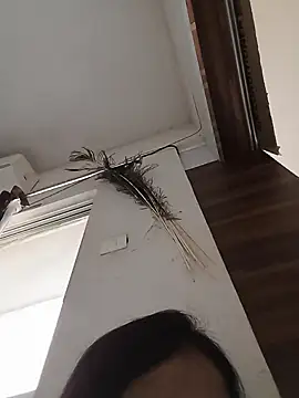 Manjushri35 online show from 14, 2, 2025