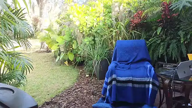 Snapshot of eliberator1777 chatting on 10, 12, 2024 eliberator1777 online show from 10, 12, 2024