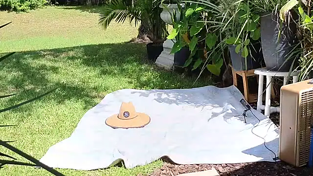 Snapshot of eliberator1777 chatting on 21, 9, 2025 eliberator1777 online show from 21, 9, 2025