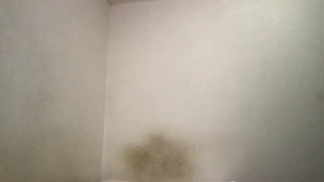 Magicwordsforme online show from 15, 3, 2025