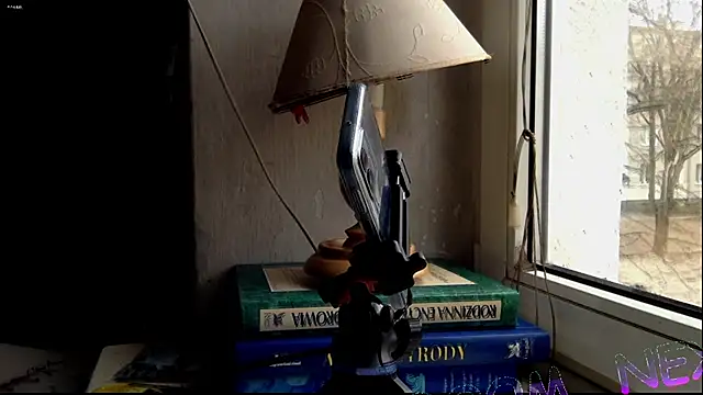 Snapshot of FireFox_Feel chatting on 6, 12, 2024 FireFox Feel online show from 6, 12, 2024