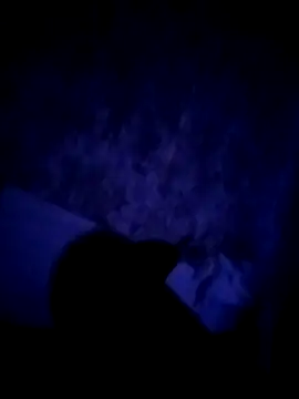 alfiebrown007 online show from 2, 3, 2026