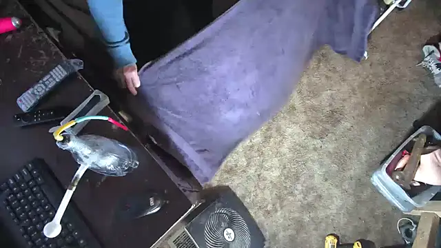 Snapshot of sex4fun_21 chatting on 2, 3, 2025 sex4fun 21 online show from 2, 3, 2025