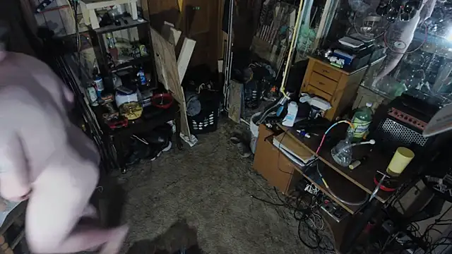 Snapshot of sex4fun_21 chatting on 12, 3, 2025 sex4fun 21 online show from 12, 3, 2025