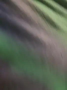 Snapshot of K100x chatting on 15, 11, 2025 K100x online show from 15, 11, 2025