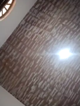 Snapshot of catdool chatting on 14, 12, 2025 catdool online show from 14, 12, 2025