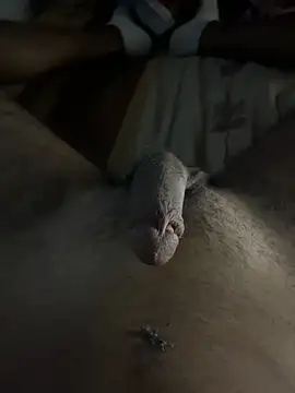 Snapshot of mamoubz chatting on 3, 11, 2025 mamoubz online show from 3, 11, 2025