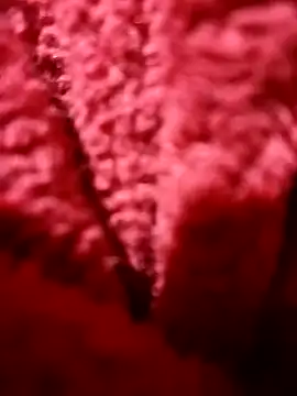 Snapshot of modelo38528061 chatting on 14, 12, 2024 modelo38528061 online show from 14, 12, 2024