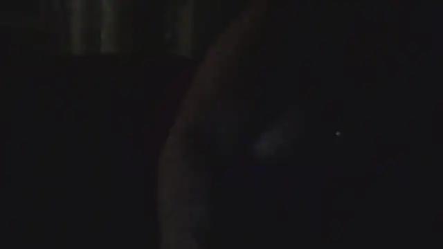 Dolcezza online show from 24, 11, 2025