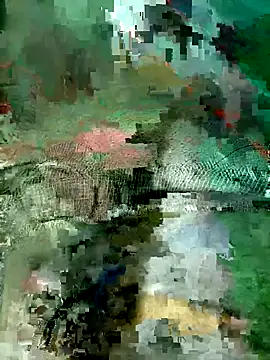 Snapshot of Subhajit12Jana23 chatting on 19, 3, 2026 Subhajit12Jana23 online show from 19, 3, 2026