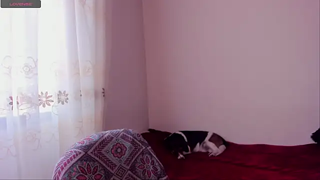 Snapshot of aluna_0310 chatting on 20, 12, 2024 aluna 0310 online show from 20, 12, 2024