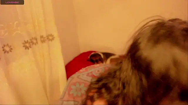 Snapshot of aluna_0310 chatting on 16, 1, 2025 aluna 0310 online show from 16, 1, 2025