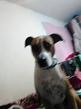 Snapshot of JoLeNe27 chatting on 6, 10, 2025 JoLeNe27 online show from 6, 10, 2025