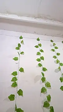 Snapshot of shayna_all chatting on 25, 11, 2025 shayna all online show from 25, 11, 2025