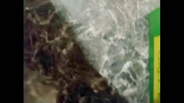 hairyuncut00 online show from 1, 1, 2025