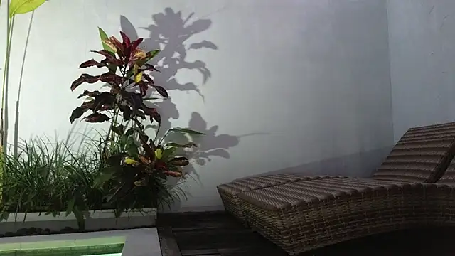 Snapshot of TammiLou chatting on 6, 3, 2025 TammiLou online show from 6, 3, 2025