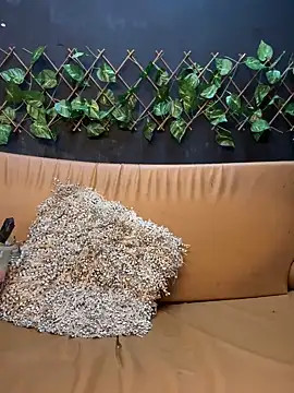 Snapshot of uma_patna000 chatting on 12, 1, 2025 uma patna000 online show from 12, 1, 2025