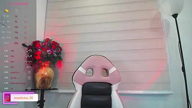 Snapshot of meedussa_20_ chatting on 20, 2, 2026 meedussa 20 online show from 20, 2, 2026