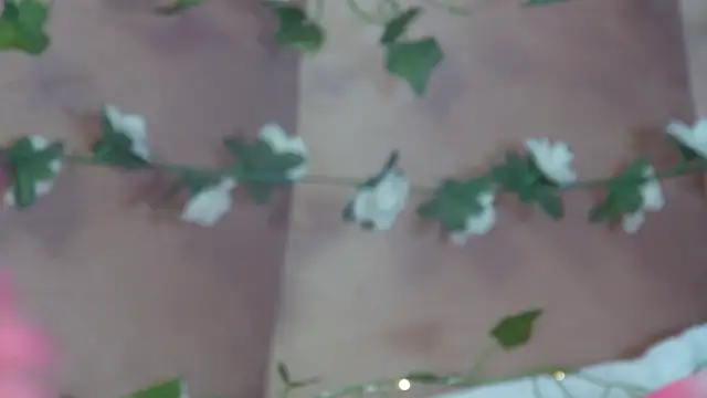 Snapshot of GentleRossi chatting on 17, 3, 2026 GentleRossi online show from 17, 3, 2026