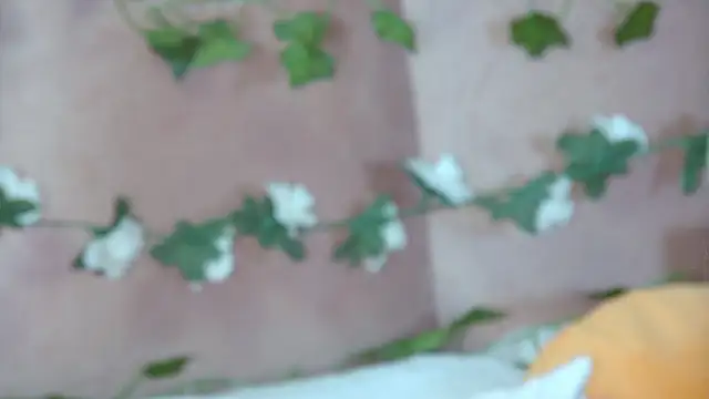 Snapshot of GentleRossi chatting on 8, 4, 2026 GentleRossi online show from 8, 4, 2026