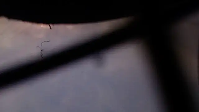 Cordt27 online show from 12, 2, 2026