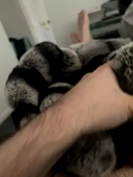 Snapshot of Furdale chatting on 3, 12, 2024 Furdale online show from 3, 12, 2024