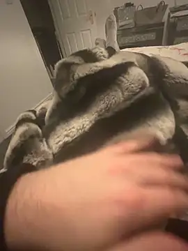 Snapshot of Furdale chatting on 7, 12, 2024 Furdale online show from 7, 12, 2024