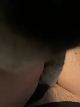 Snapshot of Furdale chatting on 16, 12, 2024 Furdale online show from 16, 12, 2024