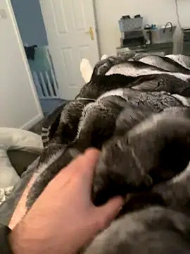 Snapshot of Furdale chatting on 10, 9, 2025 Furdale online show from 10, 9, 2025