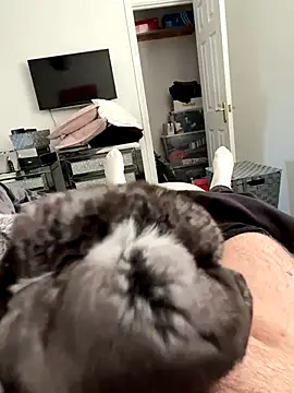 Snapshot of Furdale chatting on 25, 9, 2025 Furdale online show from 25, 9, 2025