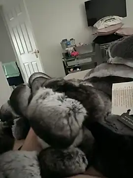 Snapshot of Furdale chatting on 10, 11, 2025 Furdale online show from 10, 11, 2025