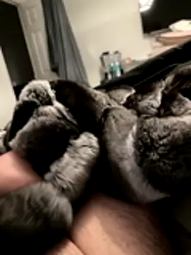 Snapshot of Furdale chatting on 18, 11, 2025 Furdale online show from 18, 11, 2025