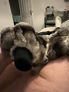 Snapshot of Furdale chatting on 25, 11, 2025 Furdale online show from 25, 11, 2025