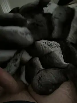 Snapshot of Furdale chatting on 14, 1, 2026 Furdale online show from 14, 1, 2026