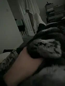 Snapshot of Furdale chatting on 2, 2, 2026 Furdale online show from 2, 2, 2026