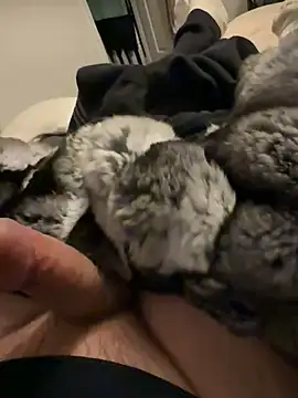 Snapshot of Furdale chatting on 3, 2, 2026 Furdale online show from 3, 2, 2026