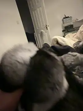 Snapshot of Furdale chatting on 6, 2, 2026 Furdale online show from 6, 2, 2026