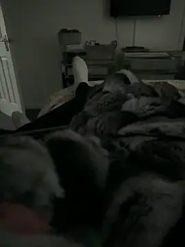 Snapshot of Furdale chatting on 11, 2, 2026 Furdale online show from 11, 2, 2026