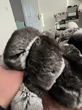 Snapshot of Furdale chatting on 23, 2, 2026 Furdale online show from 23, 2, 2026