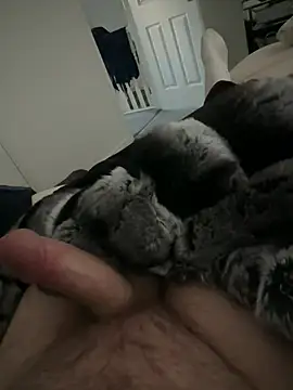 Snapshot of Furdale chatting on 28, 2, 2026 Furdale online show from 28, 2, 2026