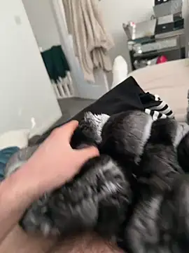 Snapshot of Furdale chatting on 7, 3, 2026 Furdale online show from 7, 3, 2026