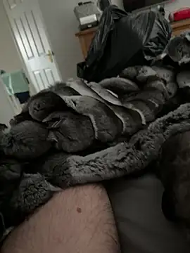 Snapshot of Furdale chatting on 23, 3, 2026 Furdale online show from 23, 3, 2026