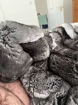 Snapshot of Furdale chatting on 23, 4, 2026 Furdale online show from 23, 4, 2026