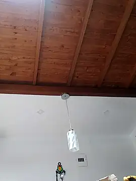 shelby kutter online show from 2, 3, 2025